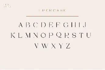 Vilaka Typeface font