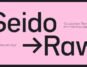 Bw Seido Raw Family font