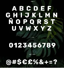 Cunia font