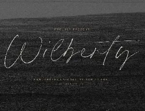 Wilberty font