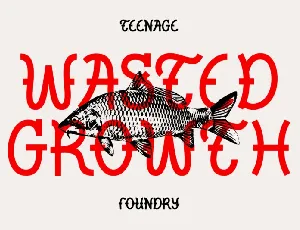 Wasted Growth font
