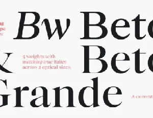 Bw Beto Family font