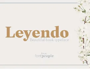 Leyendo Family font