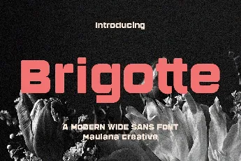 Brigotte font