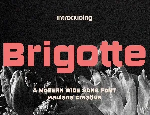 Brigotte font