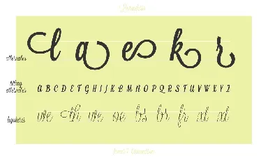 Lavanderia Family font