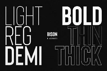 Bison Family font