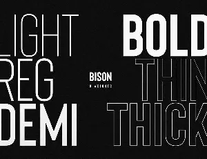 Bison Family font