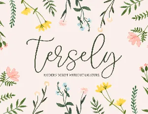 Tersely font