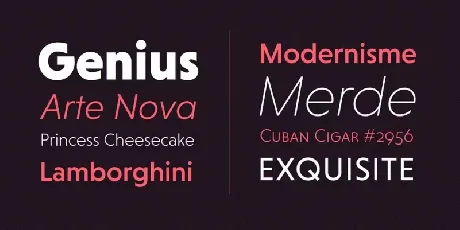 Niveau Grotesk Family font