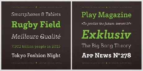 Brix Slab Family font