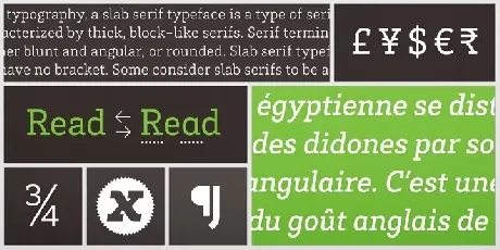 Brix Slab Family font