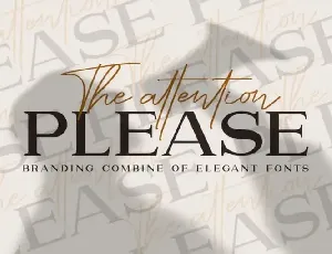 Please Serif font