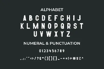 Wingking font