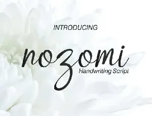 Nozomi Handwriting Script font