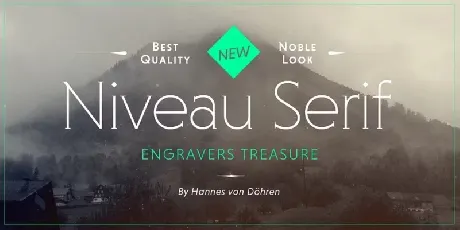 Niveau Serif Family font