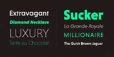 Niveau Serif Family font