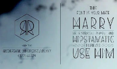 Harry font