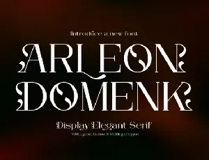 Arleon Domenk font