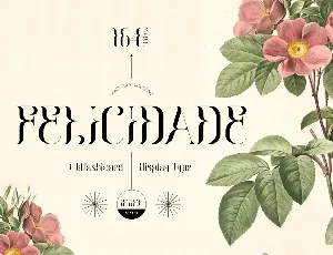 Felicidade font