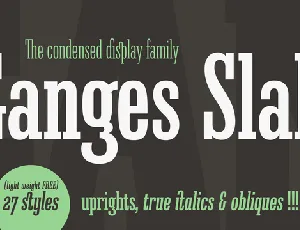 Ganges Slab Family font