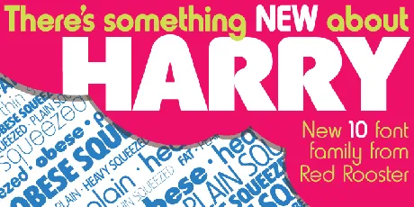 Harry Pro Family font