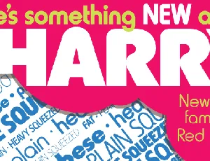 Harry Pro Family font