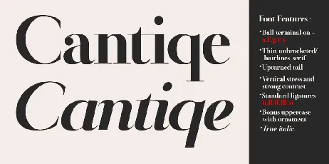 Cantiqe font