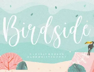 Birdside Lovely Modern Handwritten font