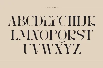 Reaga Vintage font