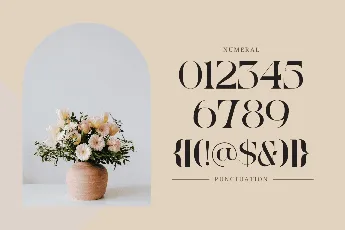 Reaga Vintage font