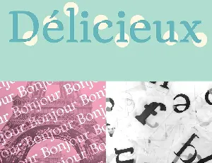 Sans Francais font