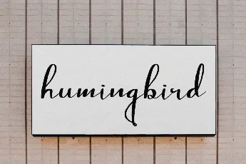 Thousand Sunnygo font