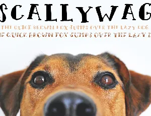 Scallywag font