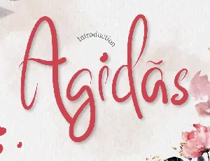 Agidas font