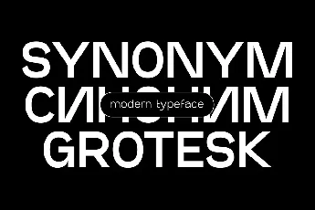 SK Synonym Grotesk font