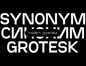 SK Synonym Grotesk font