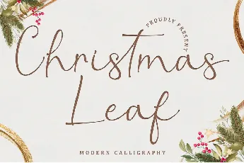 Christmas Leaf - Personal Use font