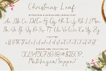 Christmas Leaf - Personal Use font