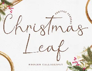 Christmas Leaf - Personal Use font