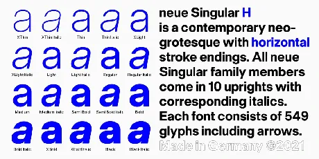 Neue Singular Family font