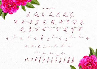 Paradise font