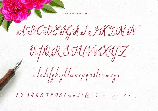 Paradise font