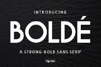 Bolde Sans Typeface font