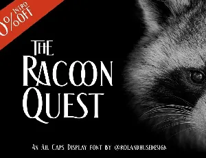 The Racoon Quest font