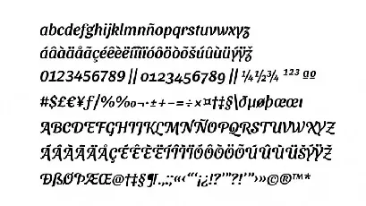 Sansita Swashed Family font