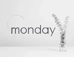 Monday Sans font