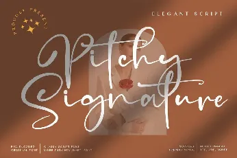 Pitchy Signature (Demo) font