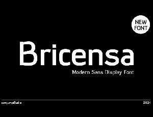 Bricensa font