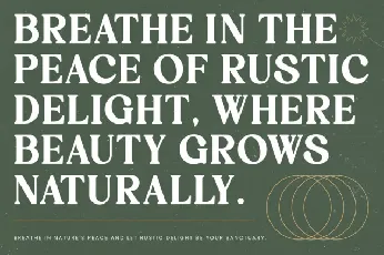 Rustic Delight font